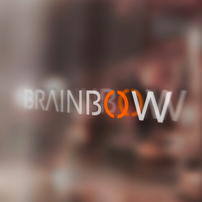 Kunde Brainbow: neues Logo auf einer Fensterscheibe
