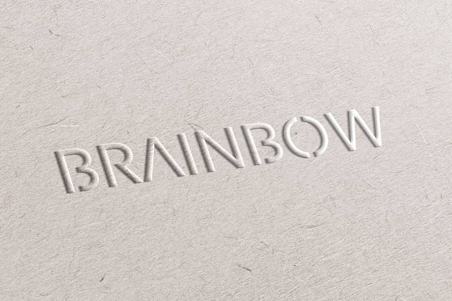 Kunde Brainbow: Logo in 3d-Optik auf Papier