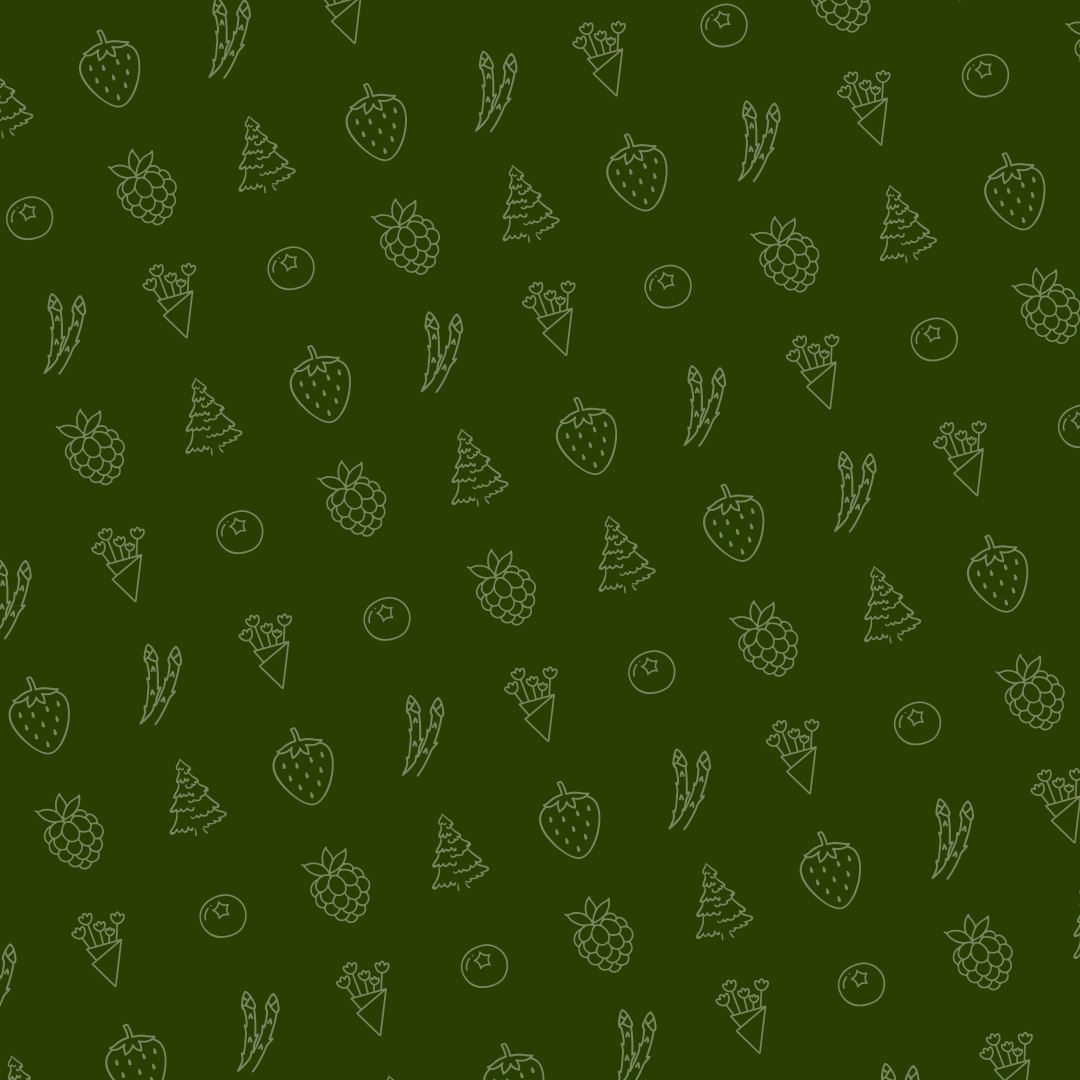 Logodesign: neues Logo auf einer Fensterscheibe